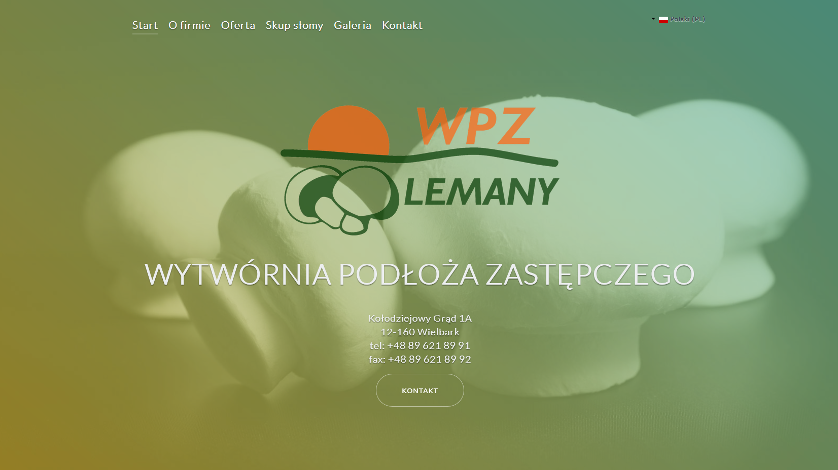 Witryna WPZ LEMANY